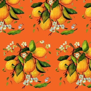 216b. MEDIUM Sunny Lemons on Orange 