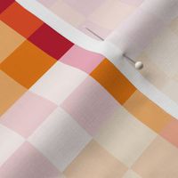 Rainbow ombre checker - checkerboard colorful gingham trend pink red girls