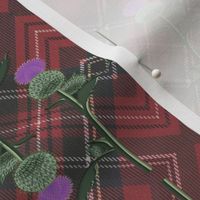 Scottish thistle and plaid