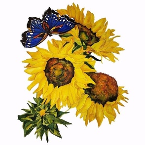 102c.  LARGE  Blue Butterfly & Sunflowers on White 