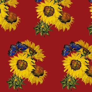 101b. MEDIUM  Blue Butterfly and Sunflowers on Dark Red  