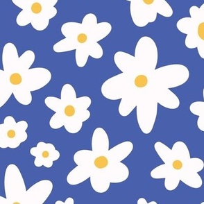 Spring floral daisy white, yellow on blue