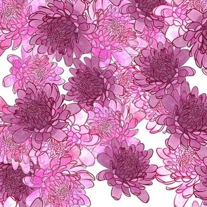 Pink Repeating Chrysanthemums