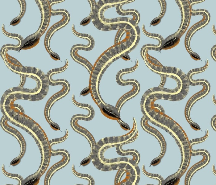 Showers of Snakes