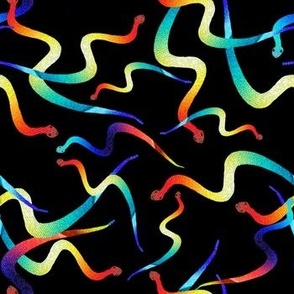 Rainbow Snakes on black