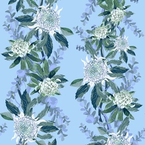 White Waratah cornflower blue, grandmillennial style