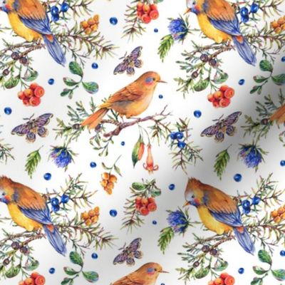 Vintage forest birds and berries on white