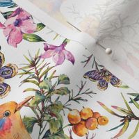 Watercolor floral birds and flowers