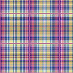 Isabelle Kennedy Tartan