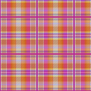 Danni Kennedy Tartan