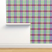 Allana Wilkinson Tartan