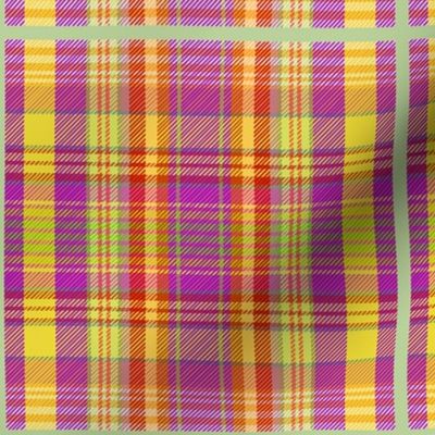 Rick Willis Tartan