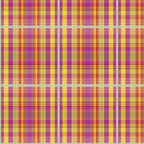 Rick Willis Tartan