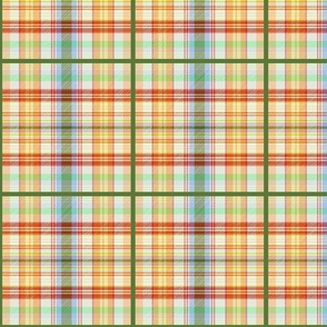 Rosie Frank Tartan