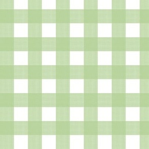 3/4" Gingham Spring Green2 on white