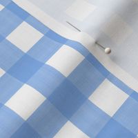 3/4" Gingham Happy Blue on white 