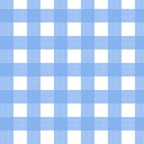 3/4" Gingham Happy Blue on white 