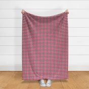 3/4" Gingham Cranberry on white