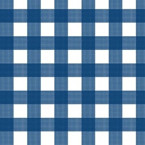 3/4" Gingham Blue on White