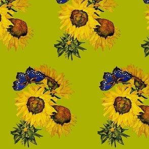 106b. MEDIUM  Blue Butterfly & Sunflowers Series Olive Green 