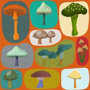 Mary’s Mushrooms // Green, Teal, and Brown on Orange