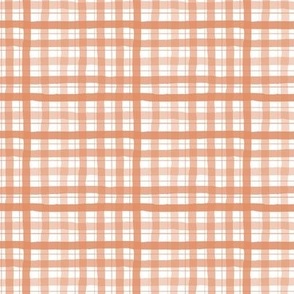 Gingham in peppermint-3x3
