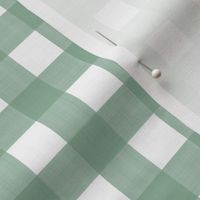 3/4" Gingham Southfield Green on white 
