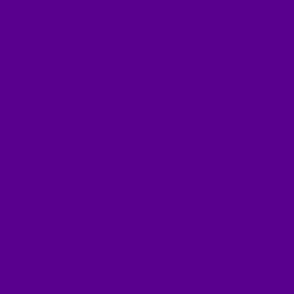 Solid Rainbow Purple_4D008A