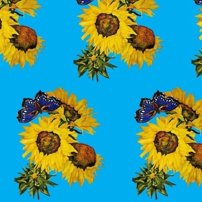107b.  MEDIUM Blue Butterfly & Sunflowers on Light Blue 