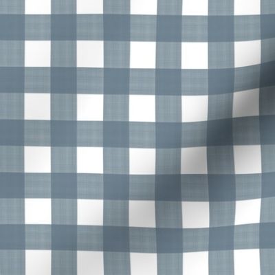 3/4" Gingham Phillipsburg Blue on white