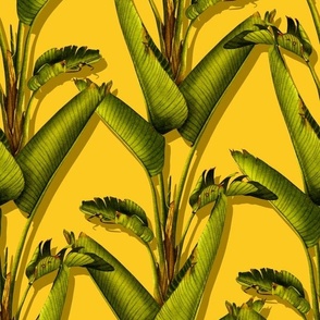 Palm rows on vintage yellow/medium