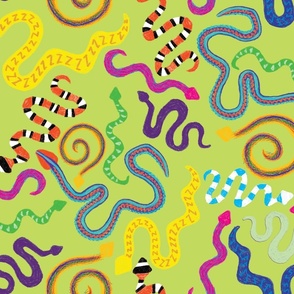 Color Pencil Snakes