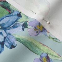 Watercolor white flowers on blue