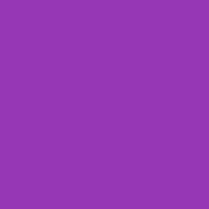 solid medium royal purple (9638B5) - less saturated in print