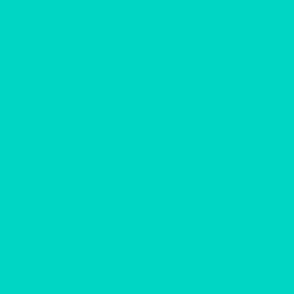 solid  light turquoise blue (00D6C4)