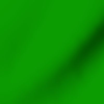 solid deep bright green (0A9C00)