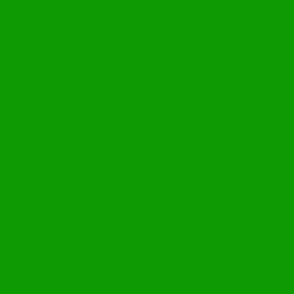 solid deep bright green (0A9C00)