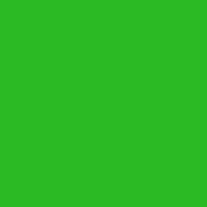 solid bright warm green (2CBA22)