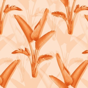 Single strelitzia palm in creamy orange/medium scale