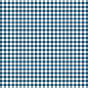 Gingham in Navy Medium Scale