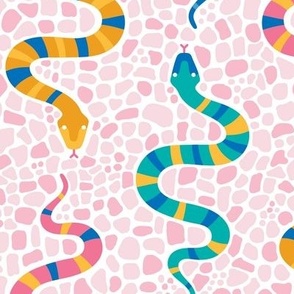 Large Multicolor Snakes on Pebble Rocks