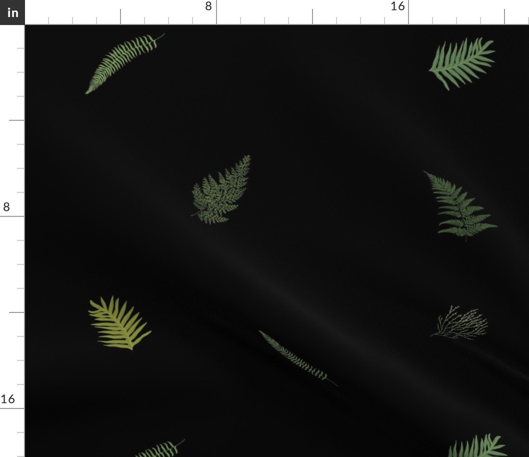 2 inch Hawaiian Ferns on black