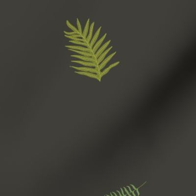 2 inch Hawaiian Ferns on gray