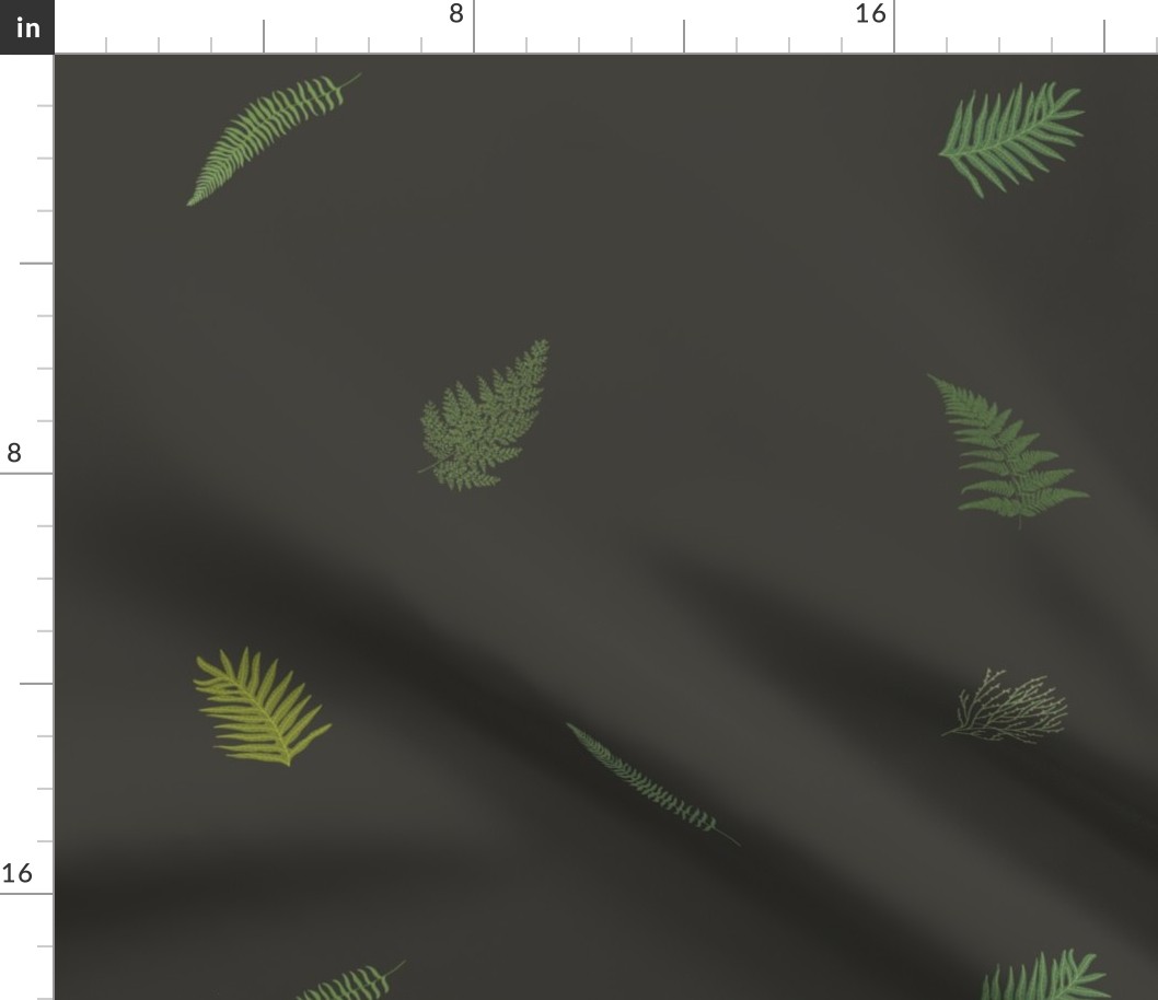 2 inch Hawaiian Ferns on gray