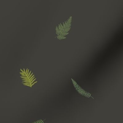 1 inch Hawaiian Ferns on gray