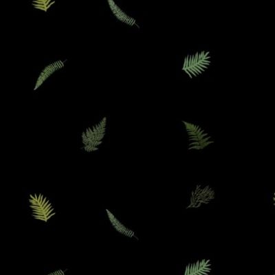 Half inch Hawaiian Ferns on black