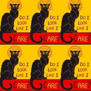 Chat Noir funny Do I look like I care