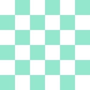 1 inch Checks - teal