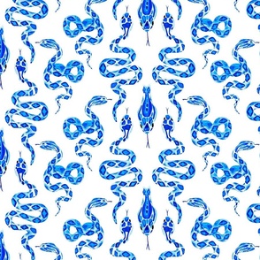 Blue and white snakes