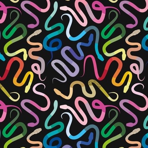 Rainbow Snakes